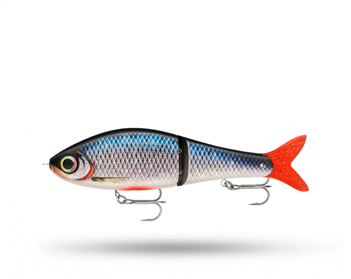 Rapala Super Shadow Rap Glide 16cm - Spawning Roach i gruppen Fiskedrag / Swimbaits hos Örebro Fiske & Outdoor AB (155116)
