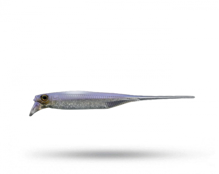 Jackall Driftfry Elastomer 3.0'' - Sight Magic Shad i gruppen Fiskedrag / Abborre & Gösjigg hos Örebro Fiske & Outdoor AB (4525807306170)