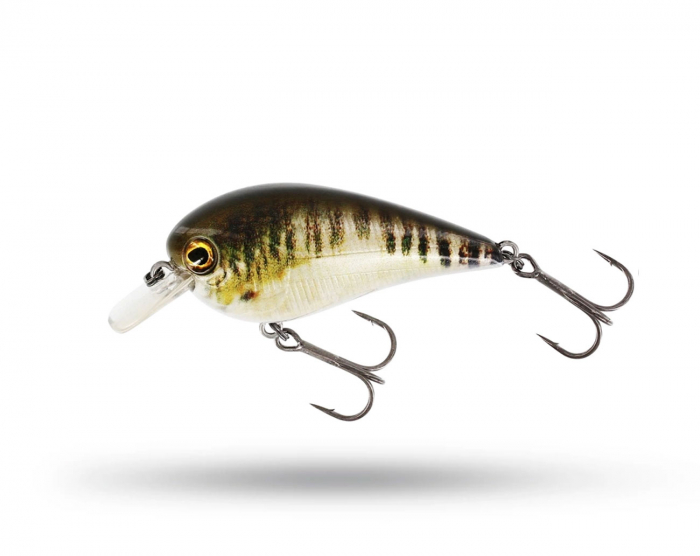 Westin BassBite 2.5 Squarebill 7cm 16g Floating - Real Minnow i gruppen Fiskedrag / Abborrwobbler hos Örebro Fiske & Outdoor AB (P154-572-005)