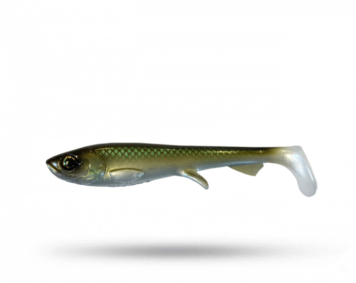 Wolfcreek Shad 11 cm 4pk - Smelt i gruppen Fiskedrag / Abborre & Gösjigg hos Örebro Fiske & Outdoor AB (WCL-Shad11-C038)