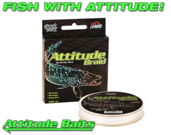 Attitude Braid - 0,23