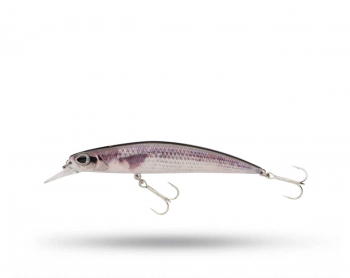 Berkley DEX Bullet 11 cm - Mullet