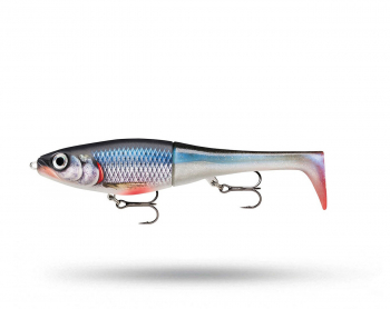 Rapala X-Rap Peto 14cm - Spawning Roach