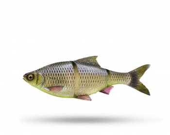 Savage Gear 4D Line Thru Roach 32cm 420g SS - Toxic Roach Savage Gear 4D Line Thru Roach 32cm 420g SS - Toxic Roach