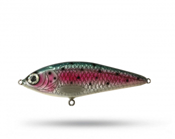 Gäddgapet GG Roach Folie - Rainbow Trout 