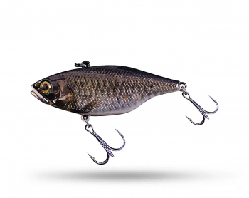 Jackall TN 60 Tungsten - RT School Kobuna Jackall TN 60 Tungsten - RT School Kobuna