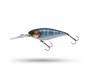 Jackall SDD Squirrel Flat 79 SP - HL Young Hasu Jackall SDD Squirrel Flat 79 SP - HL Young Hasu