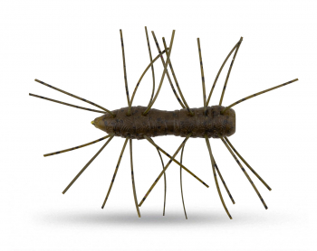 Z-Man Fuzzy BugZ - Green Pumpkin