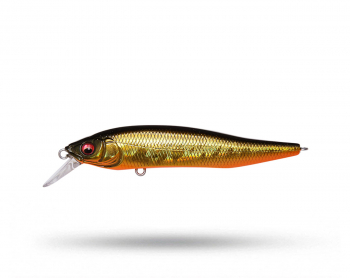 Megabass X-Nanahan - GG Megabass Kinkuro