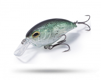 RenzStein Beastly Squarebill 50mm 10g - Baitfish