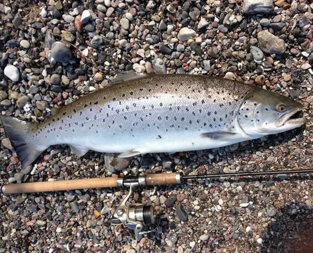 OGP Snurrebassen No.4 Bred 22 Gr 