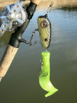Brunnberg Lures BB Tail Mini Brunnberg Lures BB Tail Mini