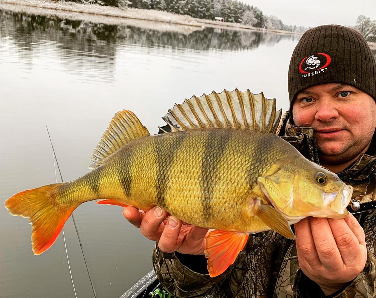 Strike Pro Inquisitor 8cm