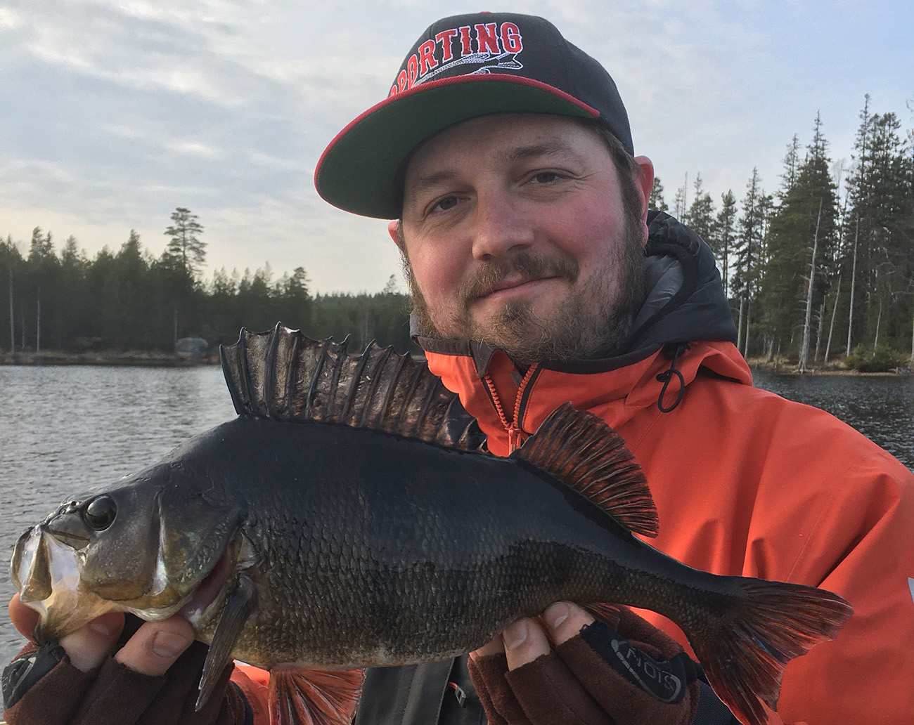 Westin BabyBite DR 6,5cm