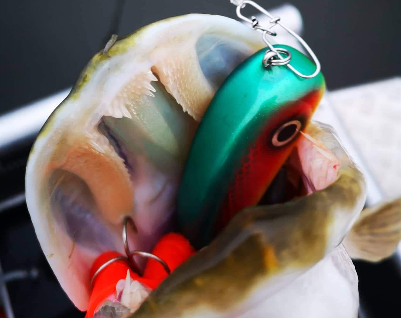 Brunnberg Lures Mini Jerk
