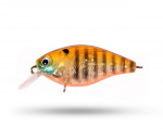 Strike Pro Cranky X Shallow  5 cm - Brown Gill Strike Pro Cranky X Shallow  5 cm - Brown Gill