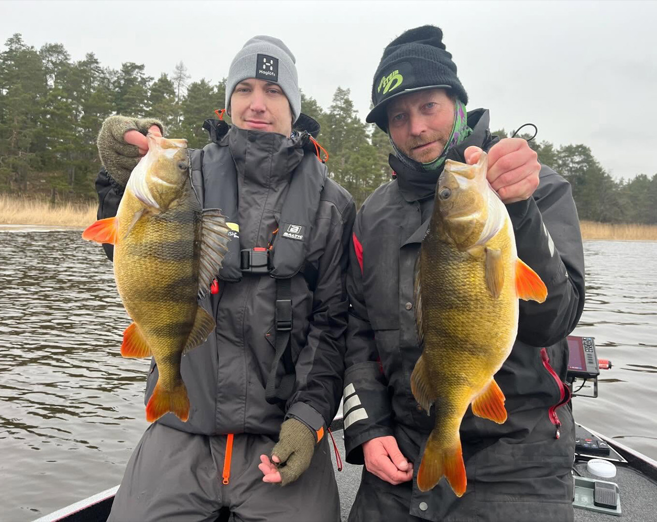 RenzStein Beastly Minnow Finesse - Shad