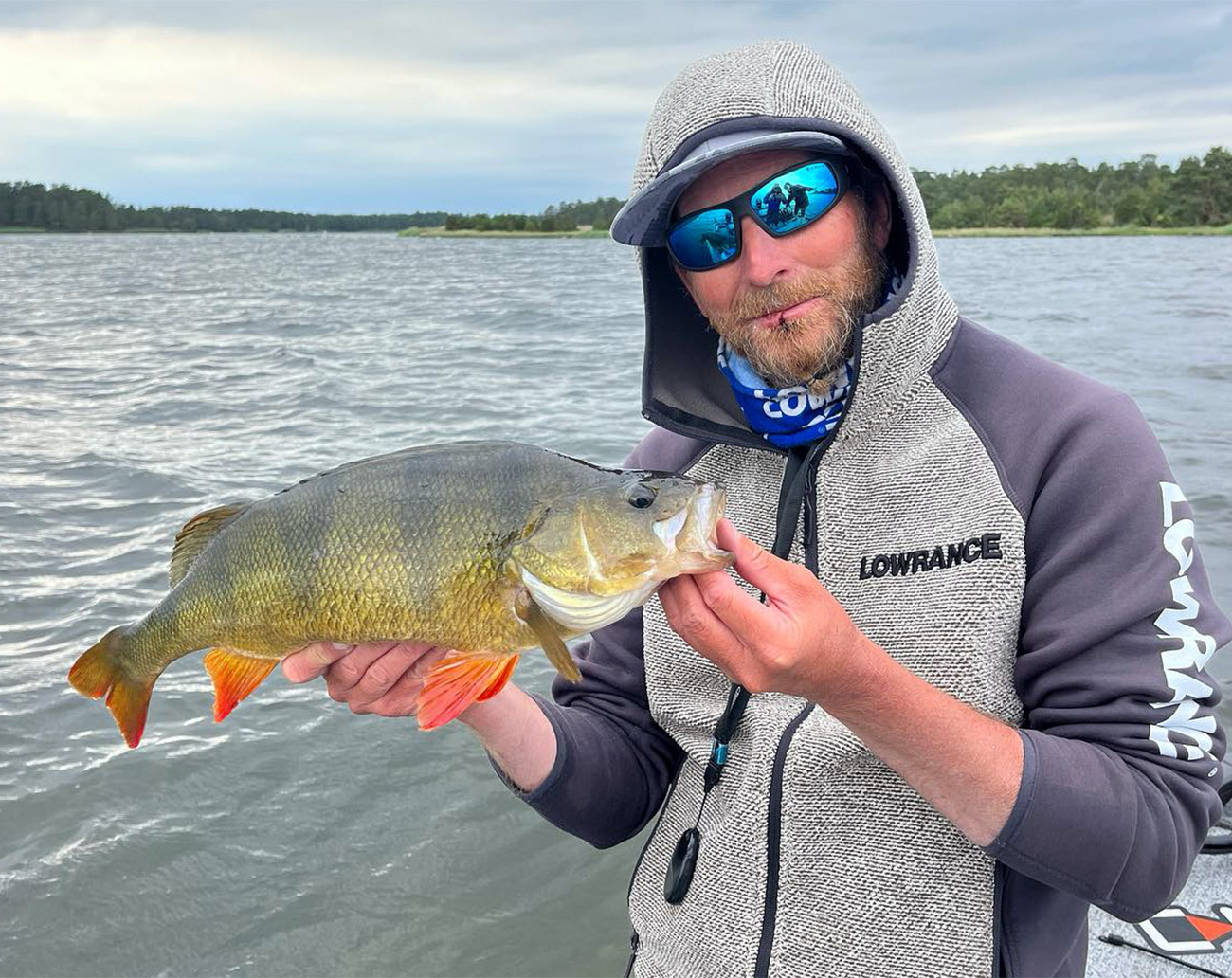 RenzStein Beastly Minnow Finesse - Shad