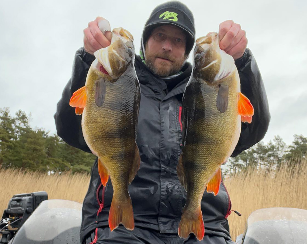 RenzStein Beastly Minnow Finesse - Shad