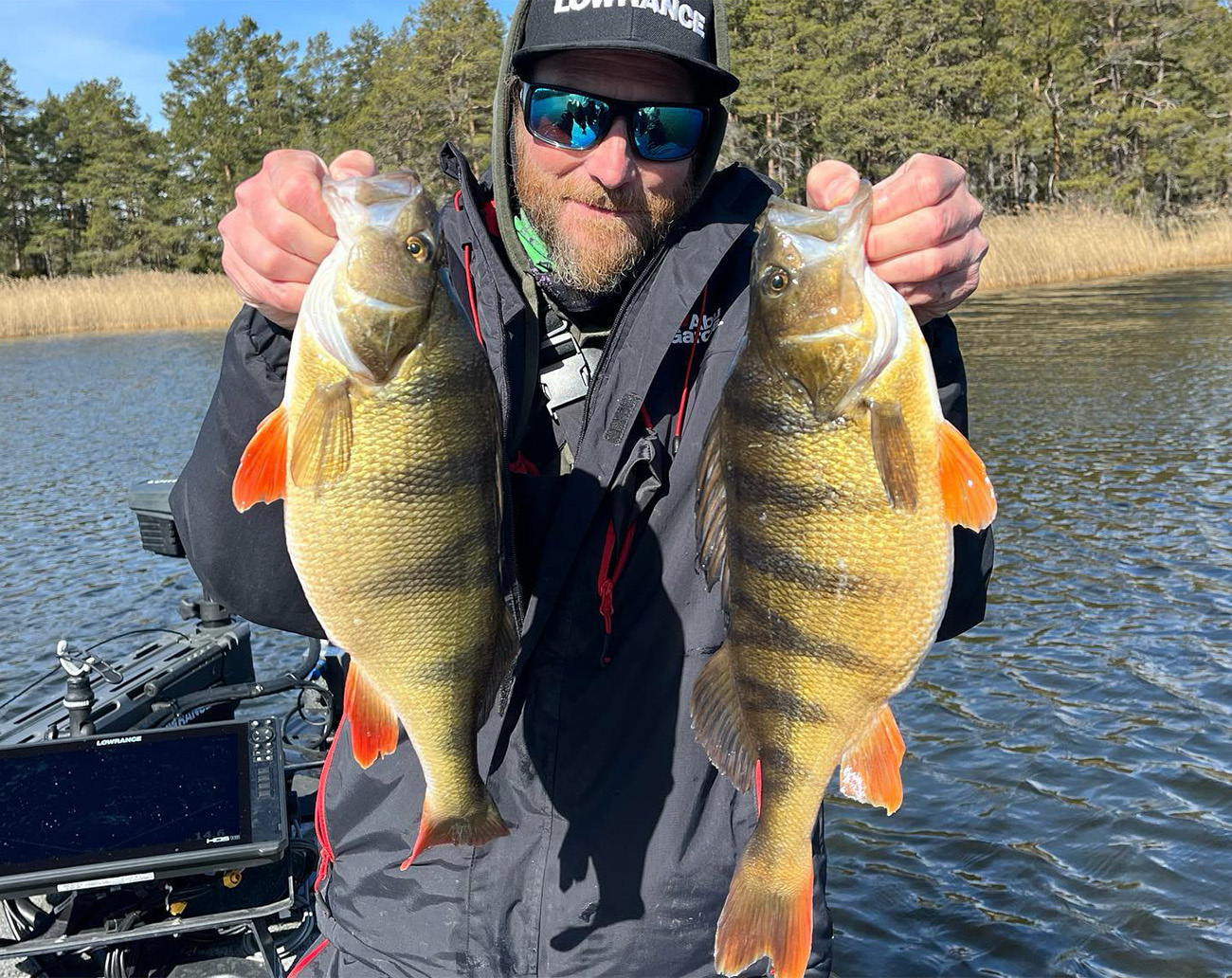 RenzStein Beastly Minnow Finesse - Shad