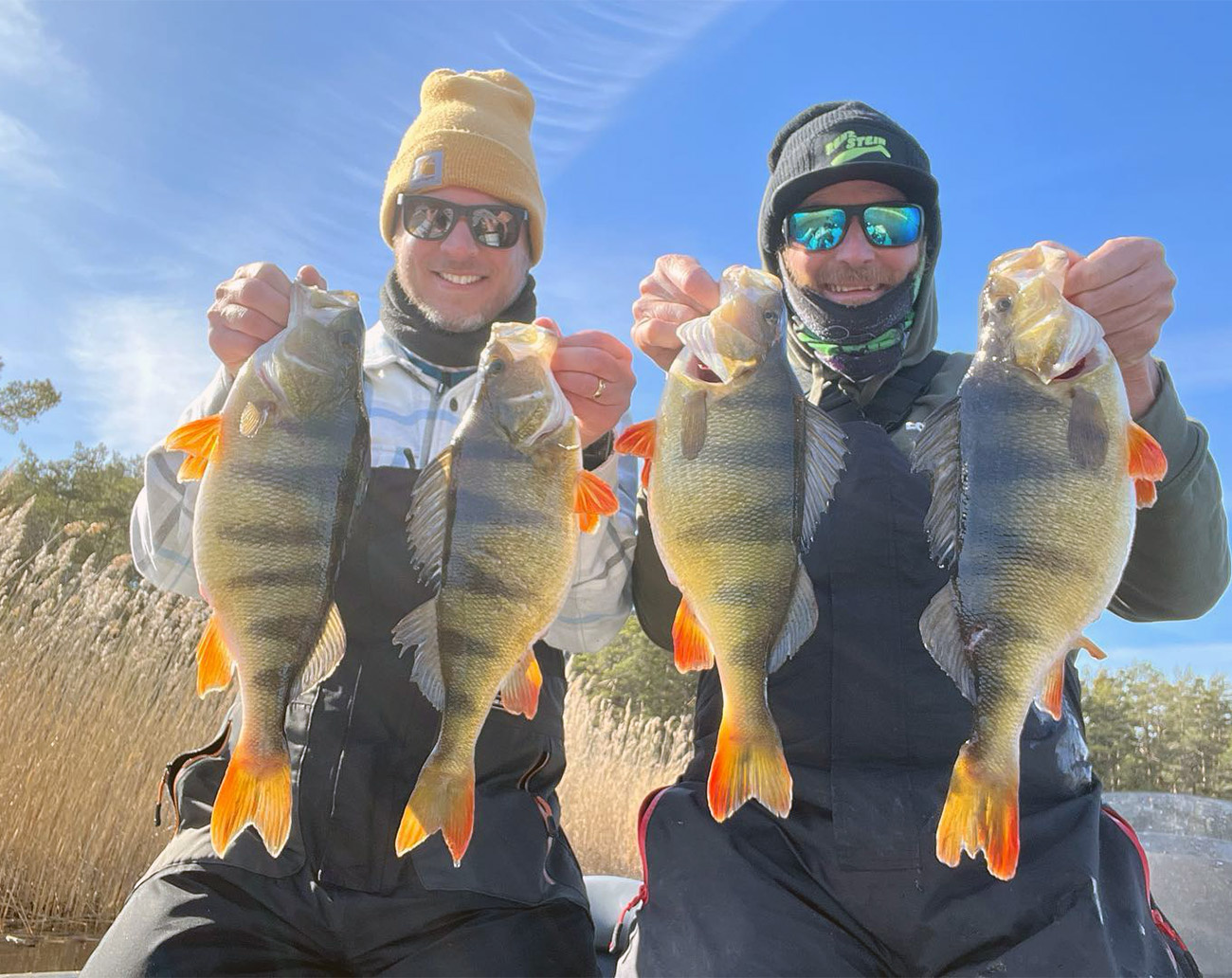 RenzStein Beastly Minnow Finesse - Shad