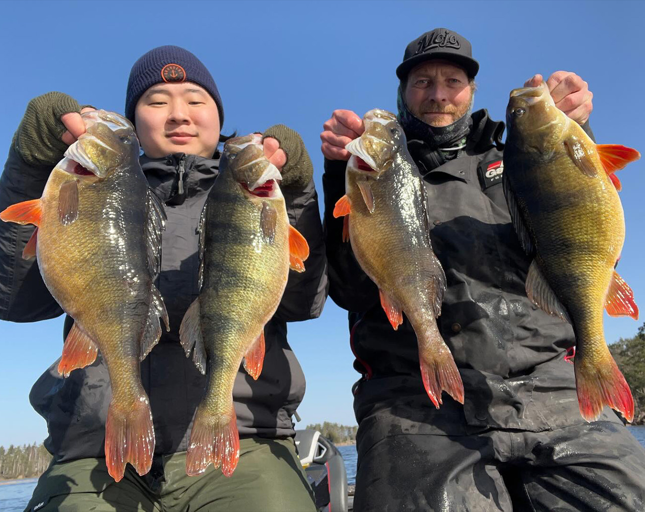 RenzStein Beastly Minnow Finesse - Shad