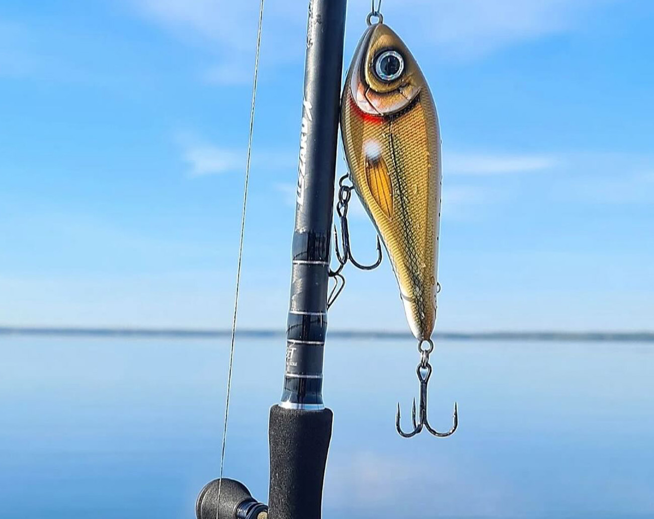 Buster Swim Slow Sink 13cm 65g 