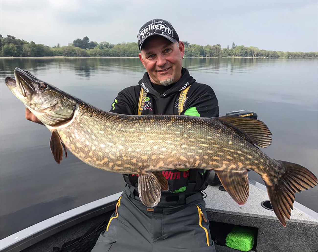 Buster Jerk 15 cm Sinking