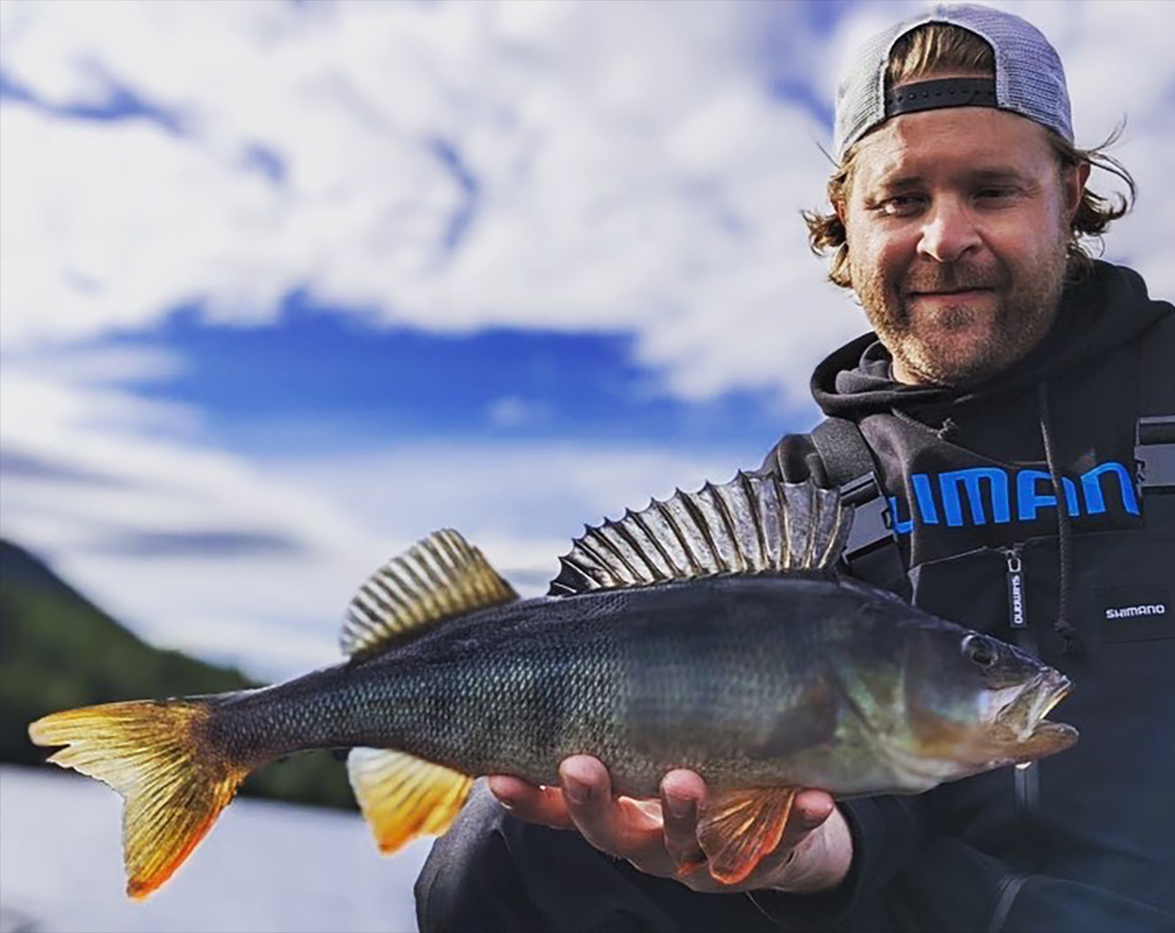 Noike Wobble Shad 4´  - Green Pumpkin Chartreuse