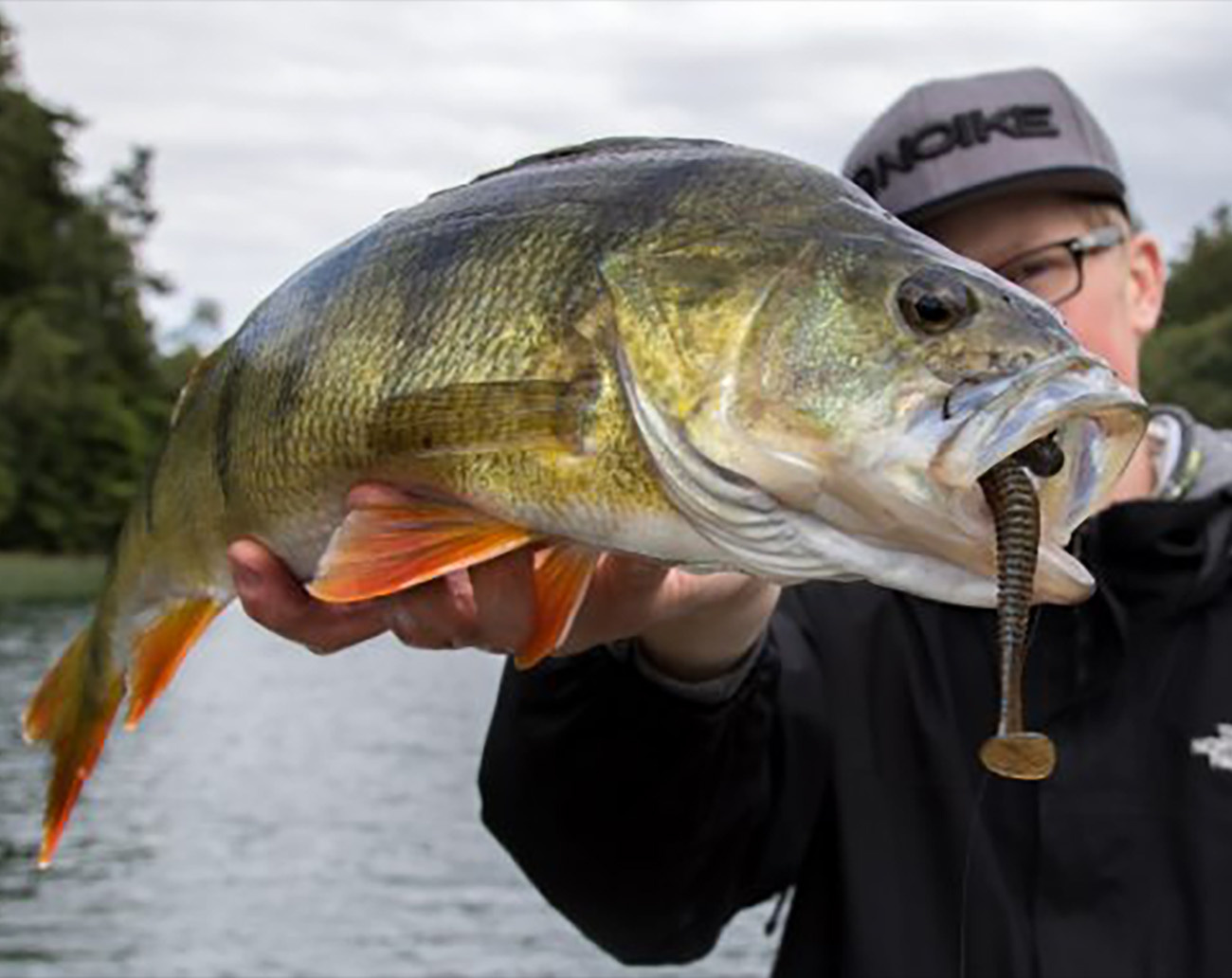 Noike Wobble Shad 4´  - Green Pumpkin Chartreuse