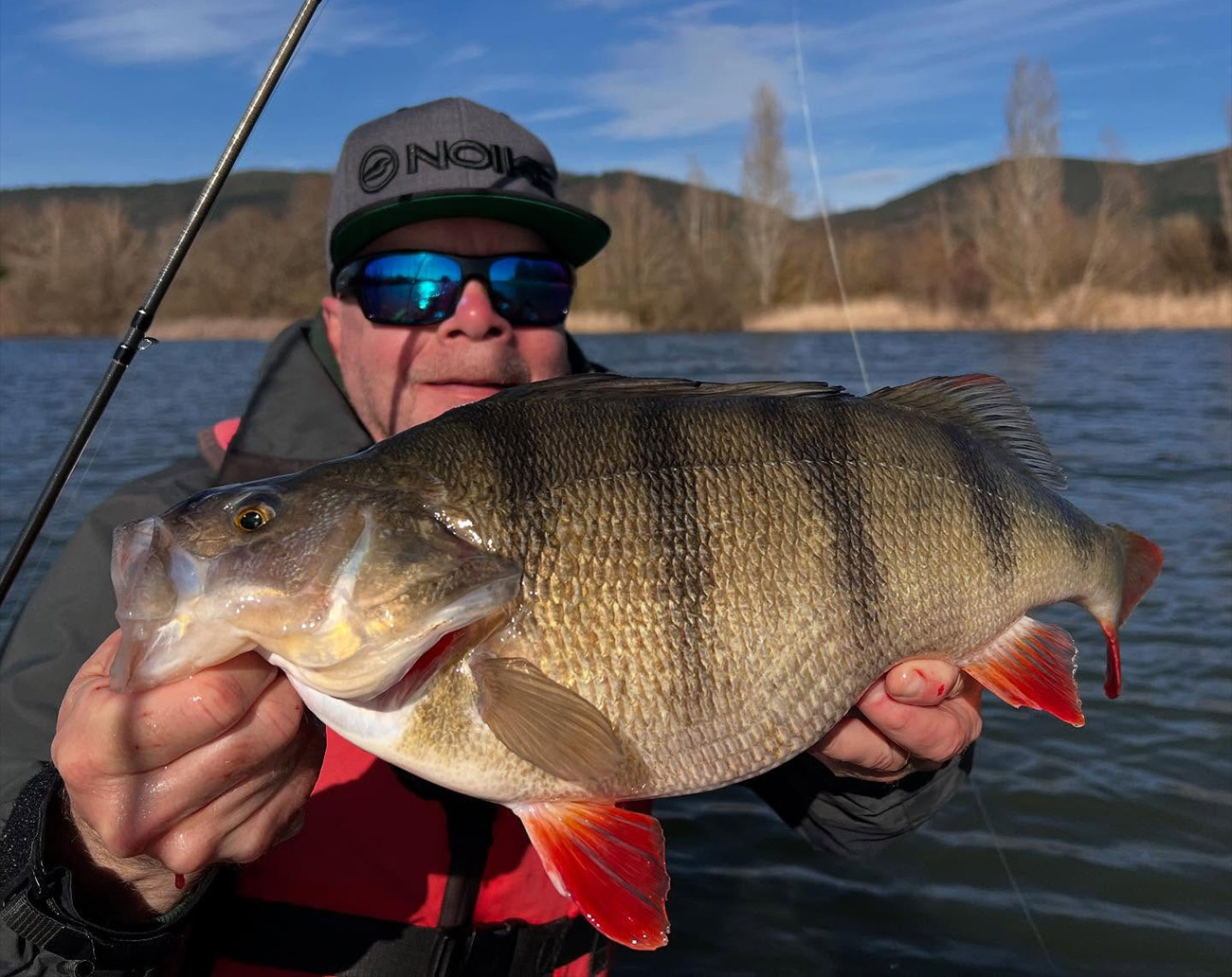 Noike Wobble Shad 4´  - Green Pumpkin Chartreuse