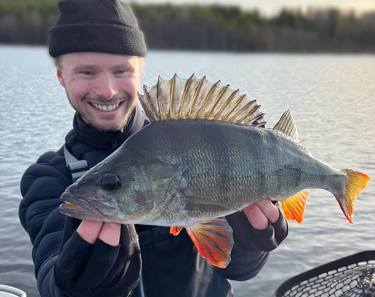 Noike Wobble Shad 4´  - Green Pumpkin Chartreuse