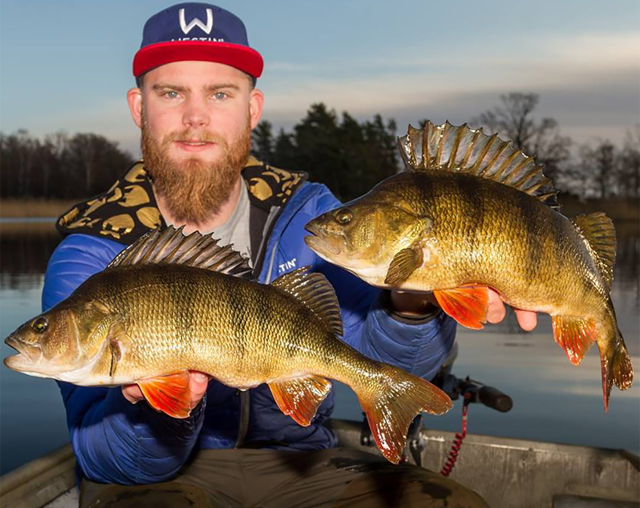 Westin W6 Powerteez - 8,4`/ 250 cm ML 7-28g 2sec