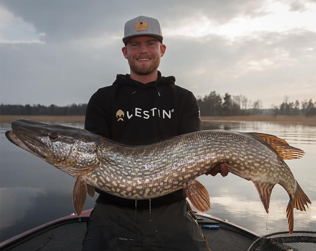 Westin W6 Powerteez - 8,4`/ 250 cm ML 7-28g 2sec