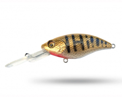 Westin BuzzBite 6 cm - Mighty Burbot A5 Custom